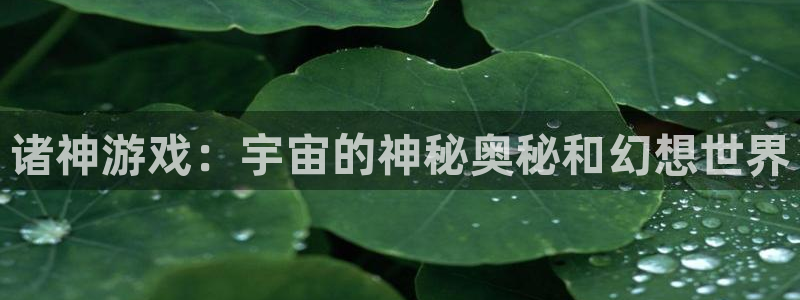 诸神游戏：宇宙的神秘奥秘和幻想世界